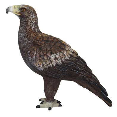 Australian Birds Wedge-Tailed Eagle Toy Figurine wild life bird