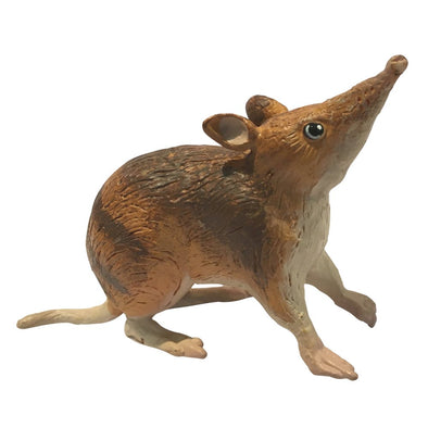 Australian Animal Eastern Barred Bandicoot Toy Figurine science nature