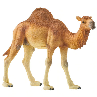 Schleich 14832 Dromedary Camel farm life figurine