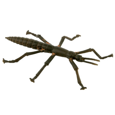 Australian Animal Australian Animals: Lord Howe Island Stick Insect Toy Figure