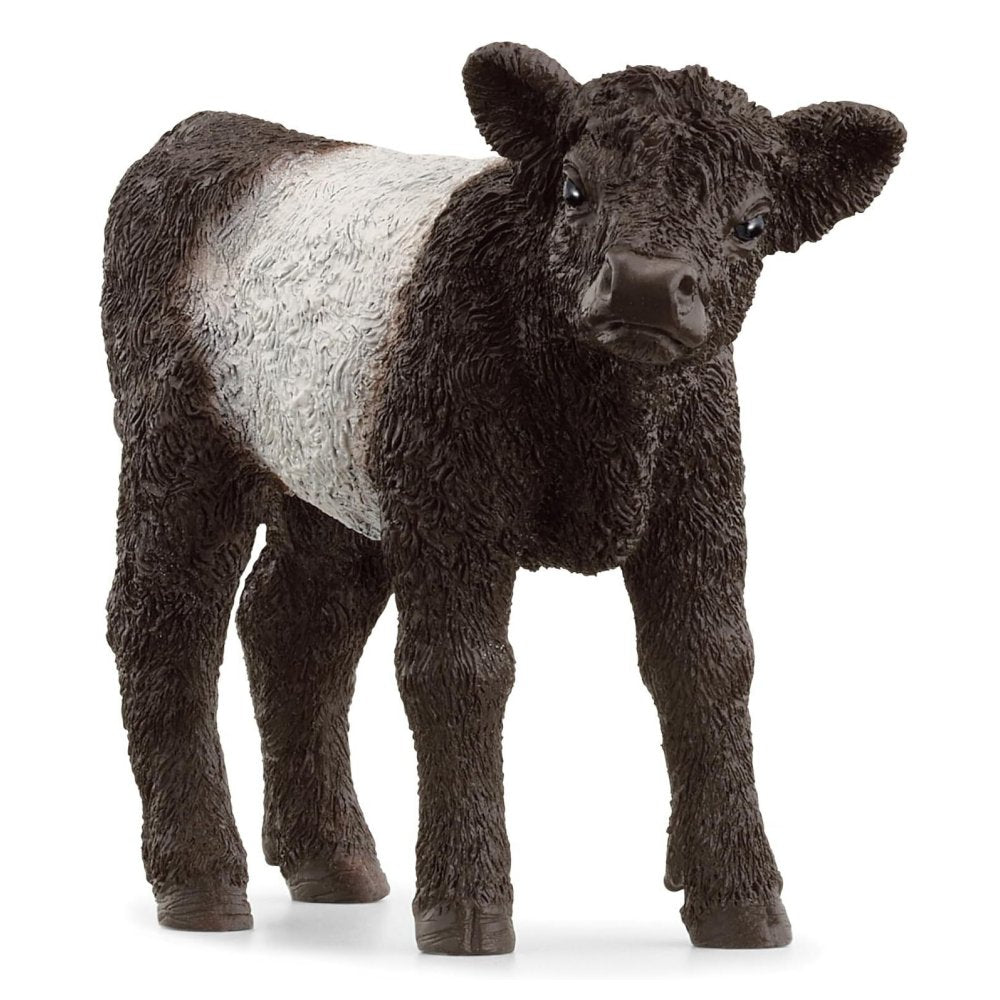 Schleich 13969 Galloway Calf Farm Life Cow Figurine Toy Dreamer schleich-13969-galloway-calf-farm-life-cow-figurine-toy-dreamer