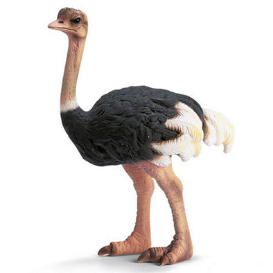 Schleich 14325 Ostrich retired wild life figurine