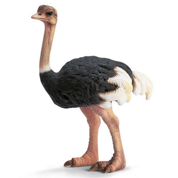 Schleich 14325 Ostrich retired wild life figurine