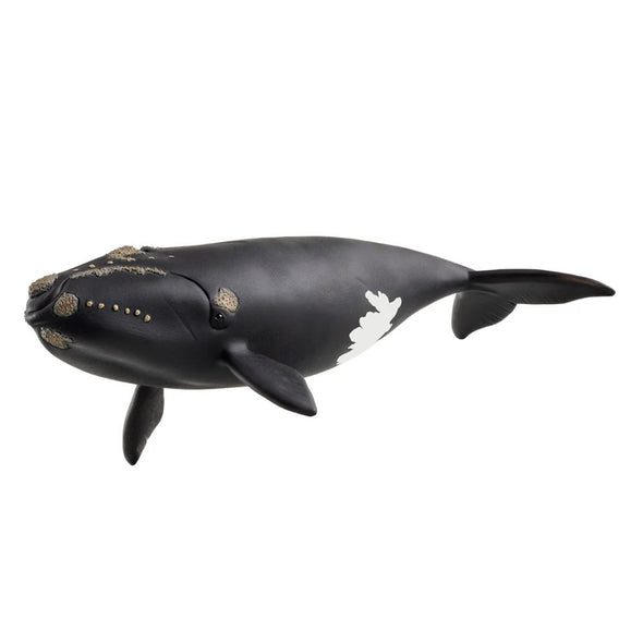 14878 North Atlantic Right Whale wild life Schleich 2025