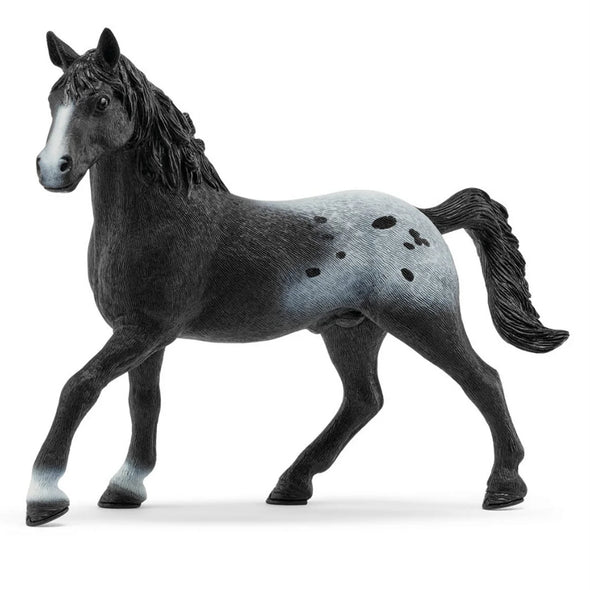 Schleich Horse - Knappstrupper Stallion 72197