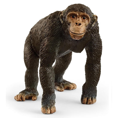 14883 Chimpanzee wild life Schleich 2025