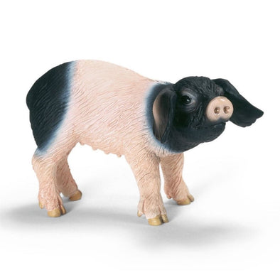 Schleich 13636 Swabian-Hall Piglet rare retired farm life