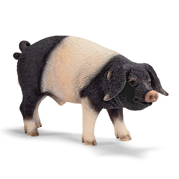 Schleich 13643 Swabian-Hall Boar