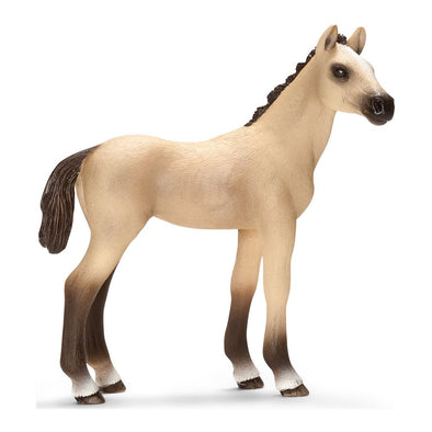 Schleich 13702 Akhal-Teke Foal Horse Club