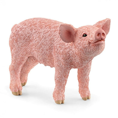 Schleich 13934 Piglet farm life figure animal replica farmlife