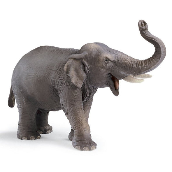 Schleich 14144 Indian Elephant Male retired wild life figurine