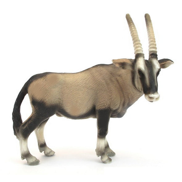 Oryx Antelope