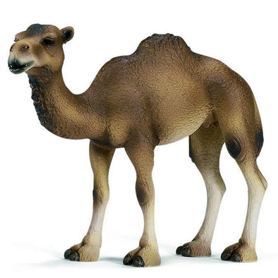 Schleich 14355 Dromedary Mare Camel