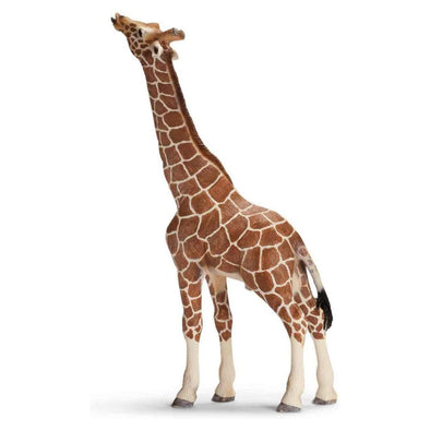 Schleich 14389 Giraffe Male eating