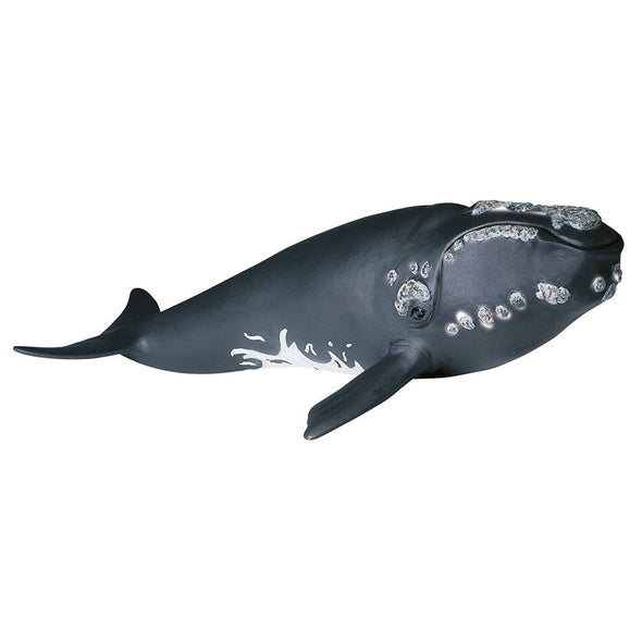 Schleich 14558 Right Whale