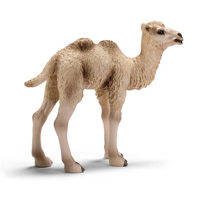 Schleich 14602 Camel Foal retired wild life