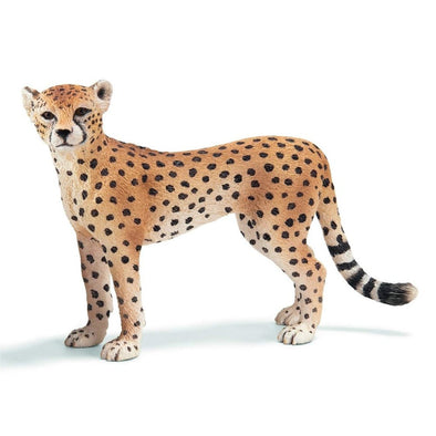 Schleich 14614 Cheetah Female – Toy Dreamer