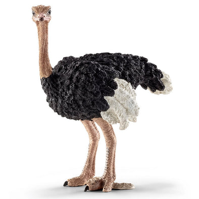 Schleich 14744 Ostrich retired African Wildlife