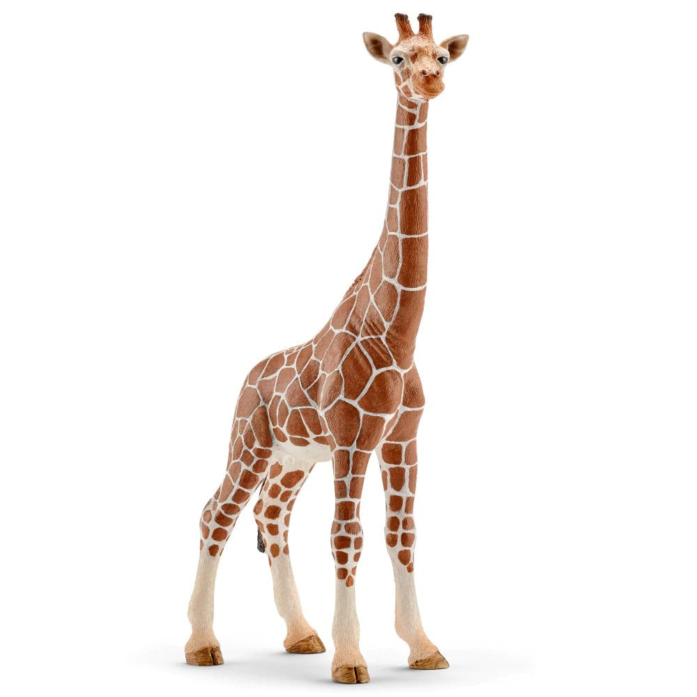 Schleich 14750 Giraffe Male - Schleich African Wildlife – Toy Dreamer