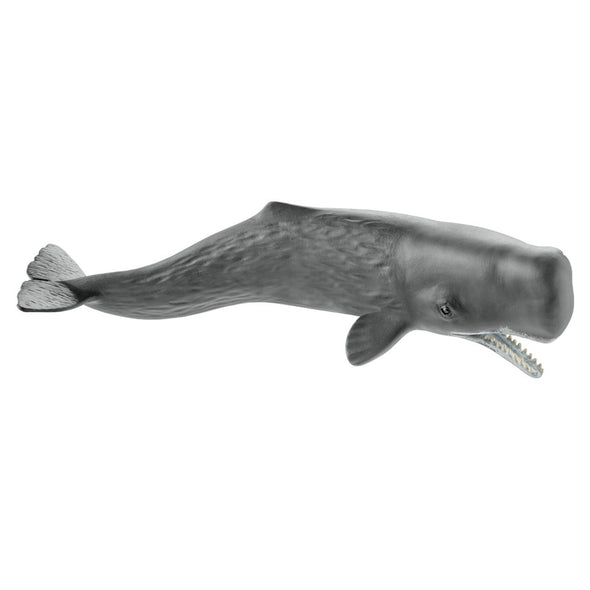 Schleich 14764 Sperm Whale sea life animal replica figurine figure toy
