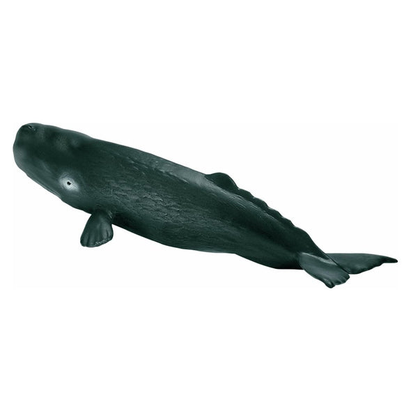 Schleich 16095 Sperm Whale Calf