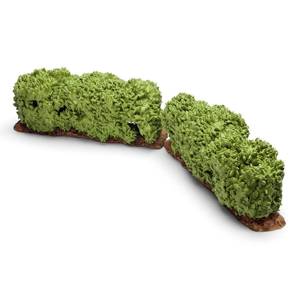 Hedge
