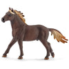 Schleich 72113 5 Horse Collectors Pack