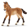 Schleich 72113 5 Horse Collectors Pack