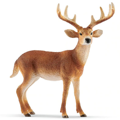 Schleich Deer 14818 White-Tailed Buck