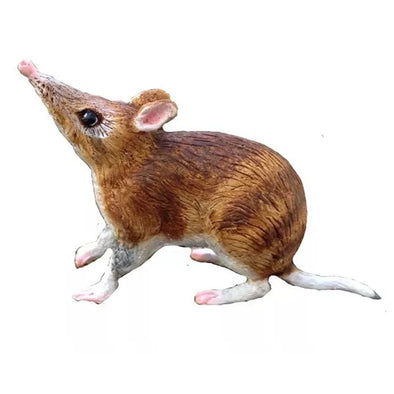 Australian Animals - Bandicoot - Small
