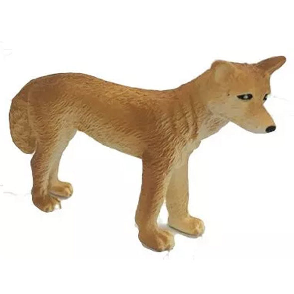 Australian Animals - Dingo