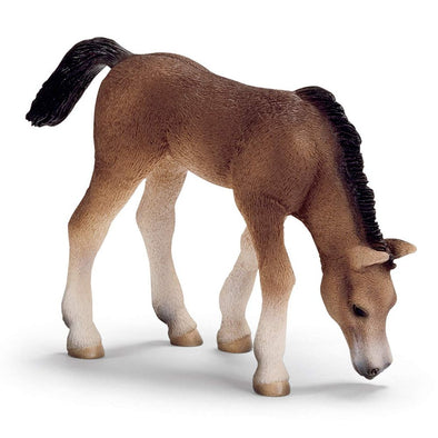 Schleich 13652 Arabian Foal grazing