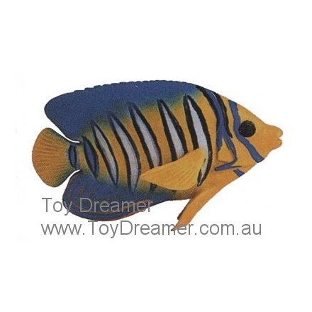 Schleich 16256 Regal Angelfish